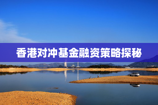香港对冲基金融资策略探秘