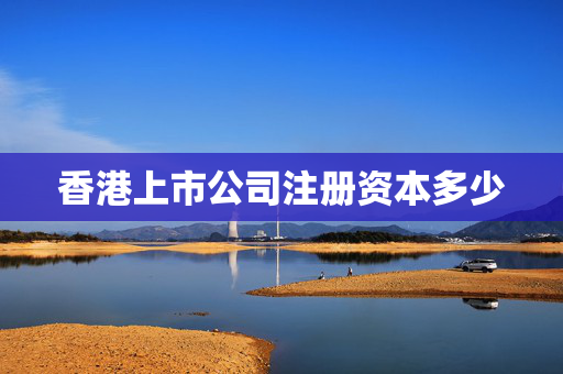 香港上市公司注册资本多少
