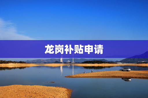 龙岗补贴申请