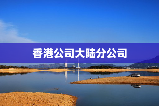 香港公司大陆分公司