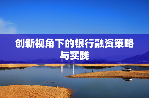 创新视角下的银行融资策略与实践