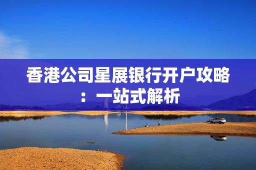 香港公司星展银行开户攻略：一站式解析