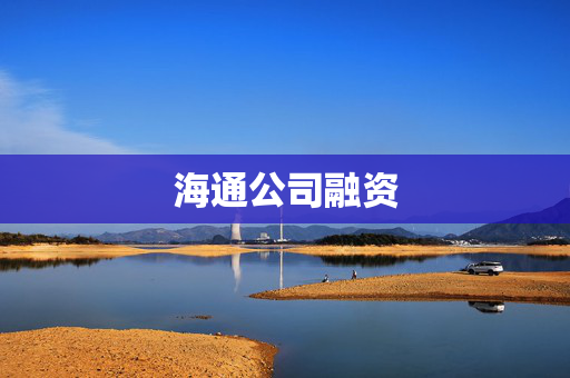 海通公司融资