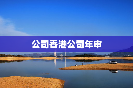 公司香港公司年审