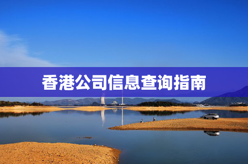 香港公司信息查询指南