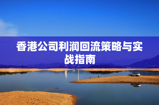 香港公司利润回流策略与实战指南