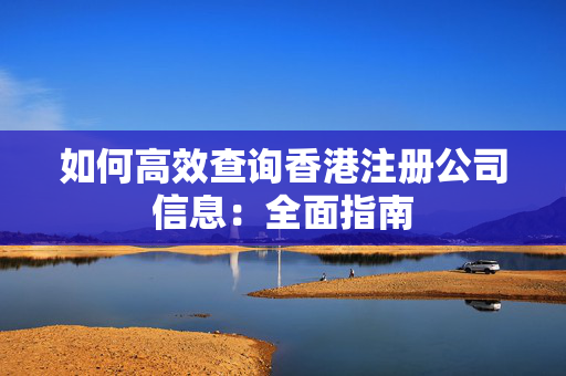 如何高效查询香港注册公司信息：全面指南