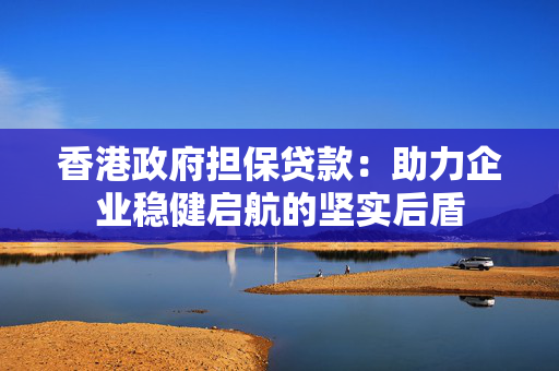 香港政府担保贷款：助力企业稳健启航的坚实后盾