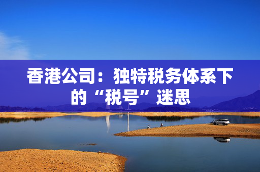 香港公司：独特税务体系下的“税号”迷思