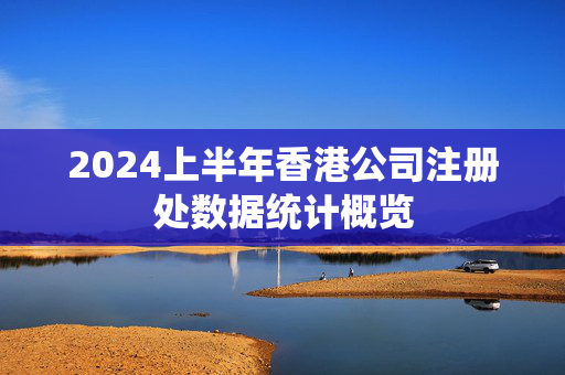 2024上半年香港公司注册处数据统计概览