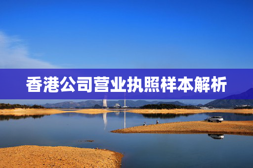 香港公司营业执照样本解析