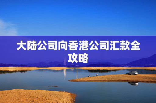 大陆公司向香港公司汇款全攻略