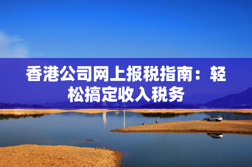 香港公司网上报税指南：轻松搞定收入税务