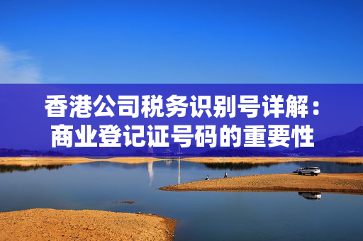 香港公司税务识别号详解：商业登记证号码的重要性