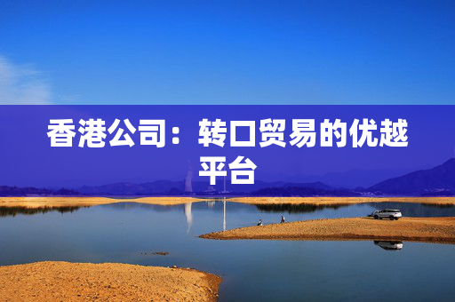 香港公司：转口贸易的优越平台