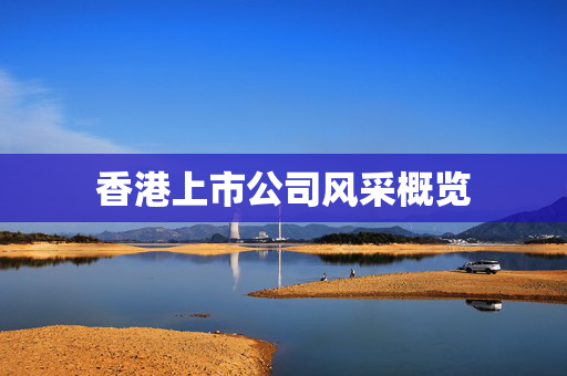 香港上市公司风采概览