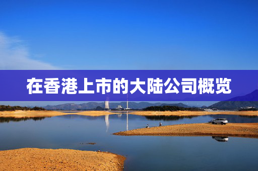 在香港上市的大陆公司概览