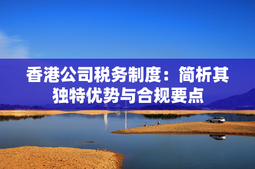 香港公司税务制度：简析其独特优势与合规要点 香港公司相关