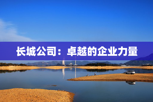 长城公司：卓越的企业力量
