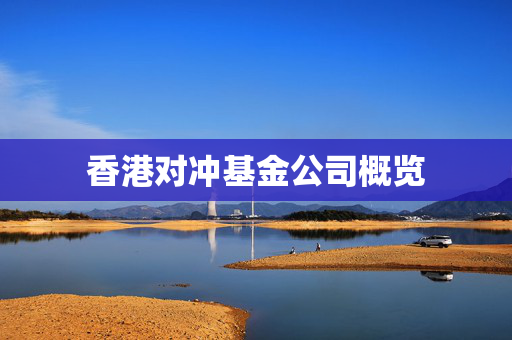 香港对冲基金公司概览