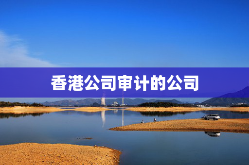 香港公司审计的公司