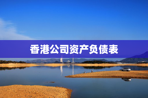 香港公司资产负债表