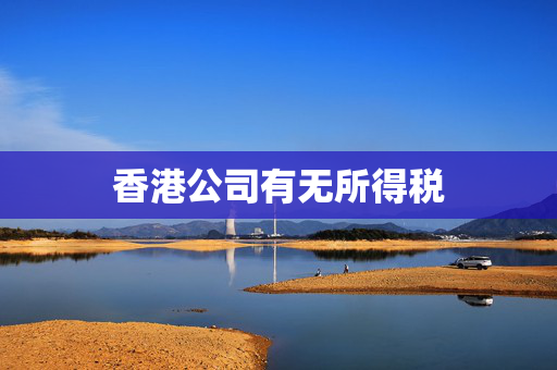 香港公司有无所得税