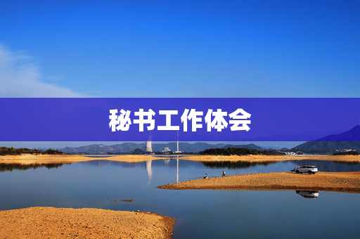 秘书工作体会