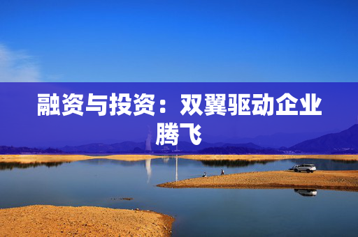 融资与投资：双翼驱动企业腾飞