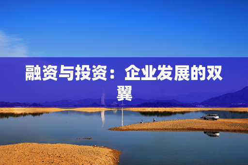 融资与投资：企业发展的双翼