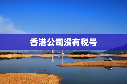 香港公司没有税号