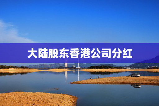大陆股东香港公司分红