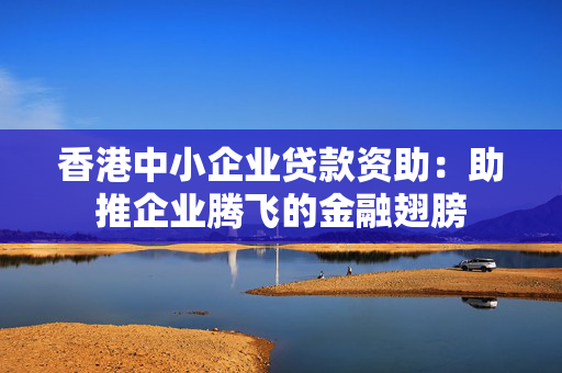 香港中小企业贷款资助：助推企业腾飞的金融翅膀