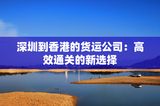 深圳到香港的货运公司：高效通关的新选择