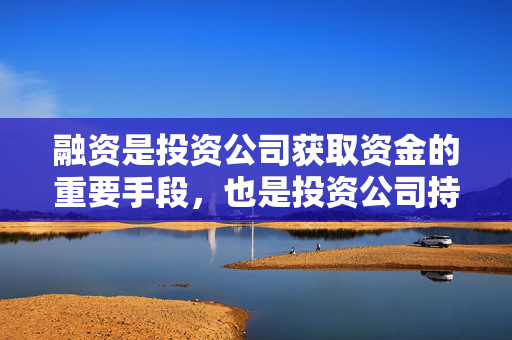 融资是投资公司获取资金的重要手段，也是投资公司持续发展的关键。投资公司的融资方式多种多样，其中最常用的方式包括股权融资和债权融资。