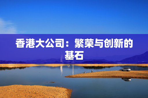 香港大公司：繁荣与创新的基石