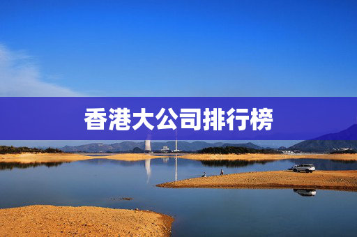 香港大公司排行榜