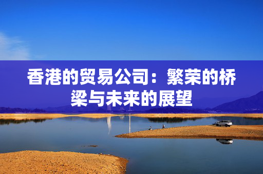 香港的贸易公司：繁荣的桥梁与未来的展望