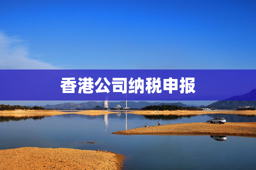 香港公司纳税申报