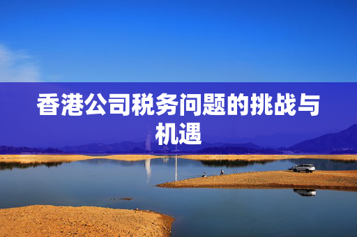 香港公司税务问题的挑战与机遇