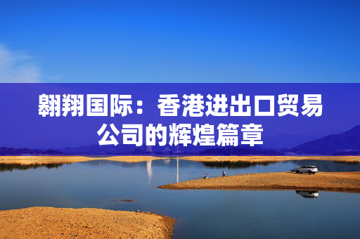 翱翔国际：香港进出口贸易公司的辉煌篇章