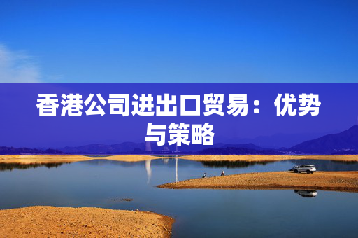 香港公司进出口贸易：优势与策略