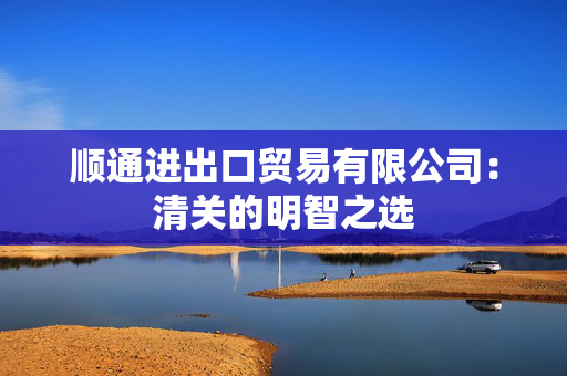 顺通进出口贸易有限公司：清关的明智之选