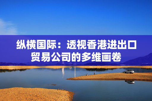 纵横国际：透视香港进出口贸易公司的多维画卷