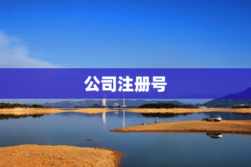 公司注册号