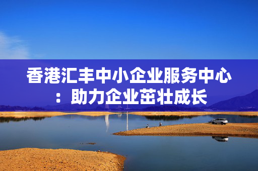 香港汇丰中小企业服务中心：助力企业茁壮成长