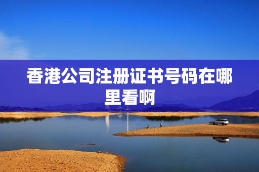 香港公司注册证书号码在哪里看啊