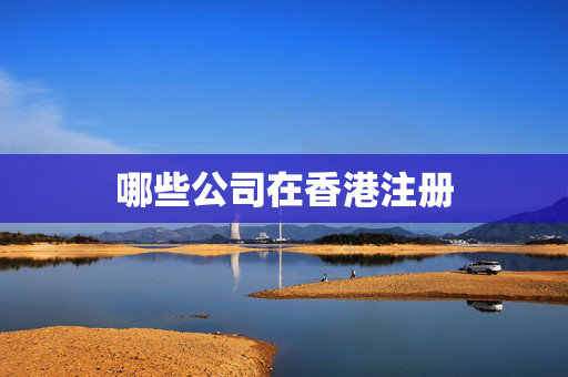 哪些公司在香港注册
