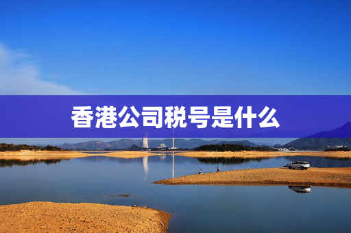 香港公司税号是什么