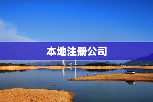 本地注册公司